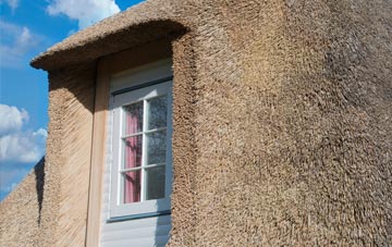Northward thatch roof disadvantages