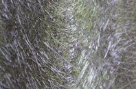 Northward fibreglass roof work