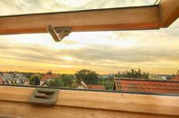 rated Northward roof window companies